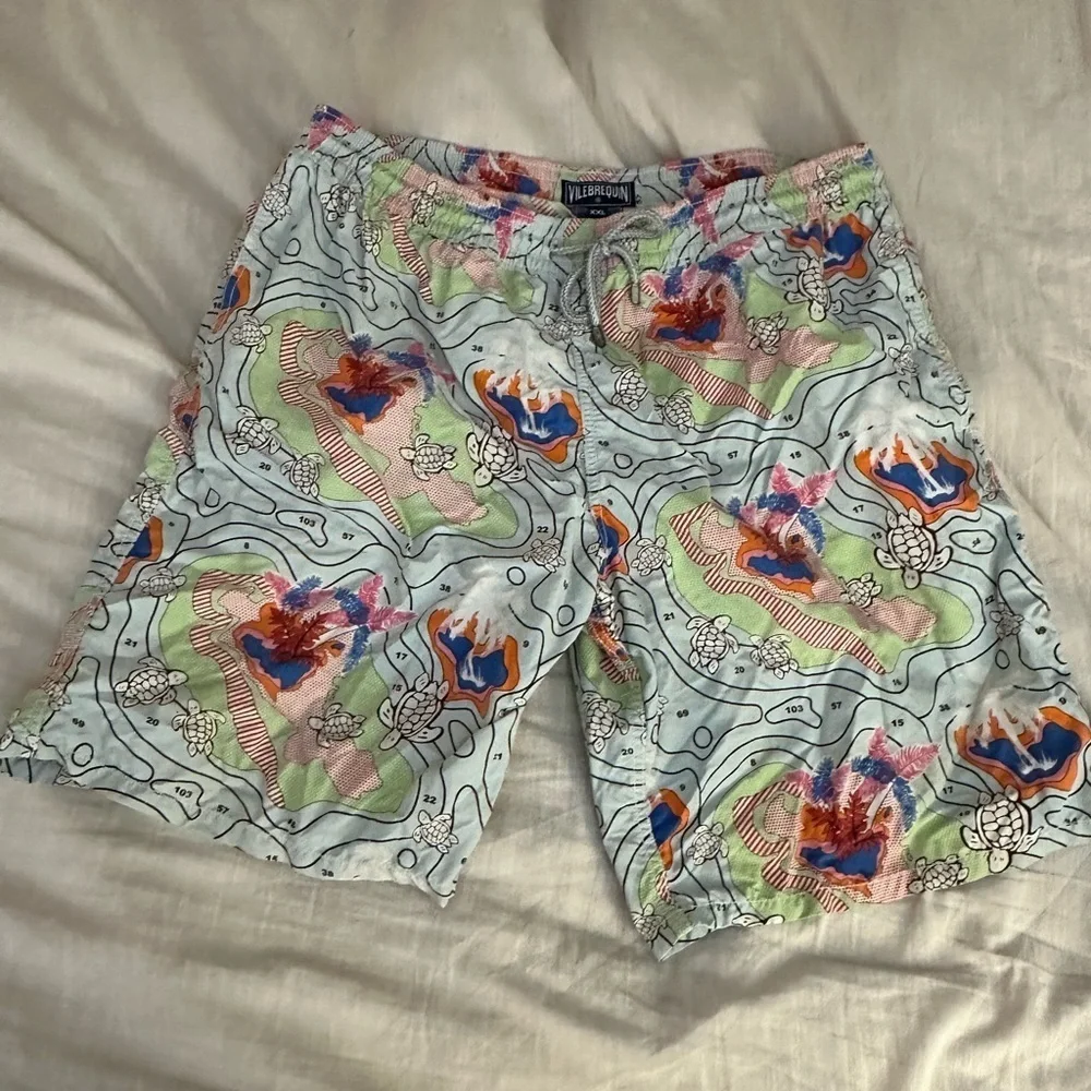 Vilebrequin Swim Short Paint By Number Print (M6)